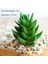 G San Zi Ta Yeşil Mini Bonsai Yapay Succulents Kiler Ev Bahçe Dekorasyon Kiler 39 Stilleri Pick Up Dıy Plante Artificielle (Yurt Dışından) 1