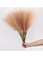 Gri 1pc 1/5/10/20PCS 55 cm Mini Pampas Çim Yapay Görkemli Çim Vazo Dolgu Çiçek Ev Oturma Odası Mutfak Düğün Boho Dekor (Yurt Dışından) 5