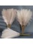 Gri 5pcs 55 cm 5/10/20PCS Kabarık Pampas Çim Boho Dekor Çiçek Ki Kamış Simüle Düğün Parti Ev Dekorasyon Yapay Çiçekler (Yurt Dışından) 4