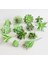 Zrg x Iaofoshouzhi 39 Stilleri Yeşil Yapay Succulents Kiler Dıy Saksısız Küçük Bonsai Ev Bahçe Masaüstü Masa Parti Dekorasyon Kiler (Yurt Dışından) 2