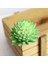 Zrg x Iaofoshouzhi 39 Stilleri Yeşil Yapay Succulents Kiler Dıy Saksısız Küçük Bonsai Ev Bahçe Masaüstü Masa Parti Dekorasyon Kiler (Yurt Dışından) 3