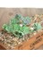 Zrg x Iaofoshouzhi 39 Stilleri Yeşil Yapay Succulents Kiler Dıy Saksısız Küçük Bonsai Ev Bahçe Masaüstü Masa Parti Dekorasyon Kiler (Yurt Dışından) 5