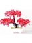 Kırmızı Yapay Kiler Çam Bonsai Küçük Ağaç Saksı Kileri Bir Simülasyon Lotus Çam Çiçek Bonsai Seti Saksı Yeşil Kiler Otel (Yurt Dışından) 1