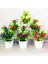 Stil 1 Yapay Kiler Bonsai Ev Dekorasyonu Küçük Ağaç Saksı Kileri Bonsai Çiçekler Saksı Süsler Wediing Dekorasyon Bahçe Dekor (Yurt Dışından) 5