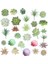 24 Yapay Succulents Ki Simülasyonu Succulents Saksı Ki Minyatür Kiler Succulents Ev Ofis Dekor (Yurt Dışından) 2