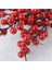 20 Adet Yapay Kırmızı Meyveler Çiçekler Meyve Berry Kaynaklanıyor El Sanatları Çiçek Buketi Düğün Için Yılbaşı Ağacı Dekorasyon (Yurt Dışından) 4