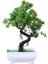 Yeşil Simülasyon Ki Yapay Saksı Ağacı Bonsai Dekoratif Yeşil Kiler Süsler Ev Otel Bahçe Dekor Düğün Dekorasyon (Yurt Dışından) 1