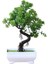 Yeşil Simülasyon Ki Yapay Saksı Ağacı Bonsai Dekoratif Yeşil Kiler Süsler Ev Otel Bahçe Dekor Düğün Dekorasyon (Yurt Dışından) 3