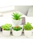 Yeşil Huo Lun Hua Yeşil Yapay Succulents Kiler Ev Bahçe Yatak Odası Balkon Masaüstü Masa Mini Bonsai Düğün Parti Dekorasyon Kiler (Yurt Dışından) 5