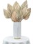 12 Adet Doğal Kurutulmuş Palmiye Yaprakları Dekor Boho Kurutulmuş Yaprak Düğün Dekorasyonu Yatak Odası Mutfak Ofis 10X40CM (Yurt Dışından) 5