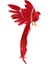 Yapay Kuş Tüyleri Plastik Heykelcik Peyzaj Süs Bahçe Dekor Noel Dıy Cadılar Bayramı - #3 (Kırmızı Kuyruk), 28*5*3 cm (Yurt Dışından) 1