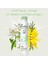 Natural Breeze Kadın Deodorant 6 x 200 ml 6