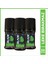 Green Dream Erkek Roll On 3X50 ml 1