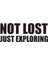 Not Lost Duvar Dekor Sticker 40 x 16 cm 1