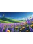 Kelebekler Yabani Çiçekler Içinde Bahar Havası 03 Çerçevesiz 50X30 cm Pvc Tablo 2