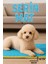 Thermo Mat Hem Soğuk Hem Sıcak Kullanılabilen 2si1 Arada Kedi & Köpek Minderi 40X60CM 3