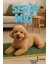 Thermo Mat Hem Soğuk Hem Sıcak Kullanılabilen 2si1 Arada Kedi & Köpek Minderi 40X60CM 4