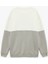 Oversize Uzun Kollu Renk Bloklu Baskı Detaylı Bisiklet Yaka Sweatshirt 2