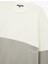 Oversize Uzun Kollu Renk Bloklu Baskı Detaylı Bisiklet Yaka Sweatshirt 3