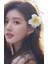 1-10PCS Plumeria Çiçek Saç Klipleri Kadınlar Için Saç Taşları Kızlar Kız Yan Bangs Klipler Çiçek Ette Hawai Partisi Çanta Şapka Accessoriescolor: 2pcs-6cm (Yurt Dışından) 1