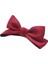 Koreli 3D Kırmızı Yay Saç Pimleri Sevimli Prenses Saç Klipleri Kurdele Ettes Kızlar Kadınlar Moda Saç Aksesuarları 2023 Newcolor: Bordo (Yurt Dışından) 1