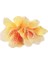 Awaytr Bohemia Canna Çiçekleri Samll Saç Klipleri Hawaii Gelin Çiçekleri Saç Klipsleri Düğün Saç Aksesuarları Için Ette: C (Yurt Dışından) 1