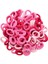 100/200PCS Kadın Kızlar Renkli Naylon Elastik Saç Bantları At Kuyruğu Küçük Saç Kravat Kauçuk Bantları Scrunchie Saç Aksesuarları Renk: Renkler 5/boyut: 100 Pcs (Yurt Dışından) 1