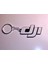 Dji Anahtarlık 1