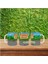 Stardew Valley Kupa Bardak Stardew Valley Hediye Bardak 4