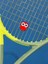 Tenis Titreşim Engelleyici Baykuş 2