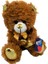 Parlak Kalpli Kahverengi Tüylü Peluş Ayı 30 cm 1