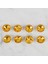 Crafts Hardal Sarısı 8 Li Düğme - 206 2