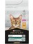 Pro Plan Renal Plus Tavuklu Yetişkin Kedi Maması 10 kg 2