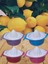 Limon Sıkacağı Plastik 2