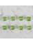 Crafts Yeşil 8 Li Düğme - 247 2