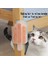 Kedi Otu Hazneli Kedi Kaşınma Aparatı 3