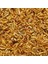 River Shrimps 11LT 1600GR 2