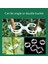 200 Adet Güvenli Plastik Bitki Klipsi, 2024 Yükseltme Bitki Destek Klipsleri, Tırmanma Bitkileri Için Bahçe Klipsleri (Yurt Dışından) 4