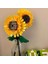 ® Botanicals Ayçiçeği 40524 - 8 Yaş & Üzeri Çocuklar için Çiçek Model Yapım Seti (191 Parça) 2