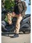 Camel Cargo Korumalı Motosiklet Pantolonu 1