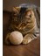 Pati Kedi Oyun Topu Kedi Oyuncak Yün Yumağı 3