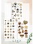 5'li Brown-Kahverengi-Leopar Sticker Set Planner Ajanda Bullet Journal Için Uygun Set 2
