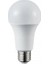15W LED Ampul (E27) (Gün Işığı) 1