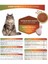 Katzoo Gurme Tavuklu Yetişkin Kedi Maması 15 kg 3