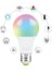 10W Wİ-Fİ AKILLI LED AMPUL 2