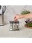 Shinex Inox Standlı 7 Parça Cam Baharat Seti 100 Ml 3