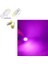 ( 4 x Adet) 1 Set T10 LED Dipsiz Ampul 12V Porselen&seramik Purple (0°ısınma&porselen Zemin) 1