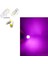 ( 4 x Adet) 1 Set T10 LED Dipsiz Ampul 12V Porselen&seramik Purple (0°ısınma&porselen Zemin) 2