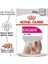 Ccn Exigent Köpek Yaş Mama, 85 gr 2