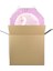 Pinyata Pembe Kuğu 42CM + Sopası Doğum Günü Eğlencesi Pinyata Patlatma Partisi 2